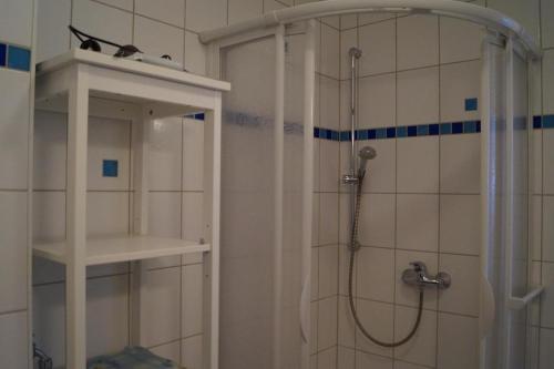 a bathroom with a shower with a cat sitting on a shelf at Maritim eingerichtete Fewo mit Balkon, 2 Fernsehern in Kühlungsborn