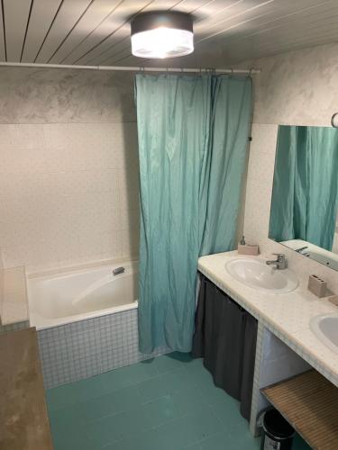 a bathroom with a shower with a sink and a tub at Gite de la Haure, Lourdes in Lézignan