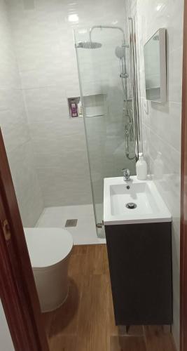 a bathroom with a shower and a toilet and a sink at Apartamento Puente Romano in Salamanca