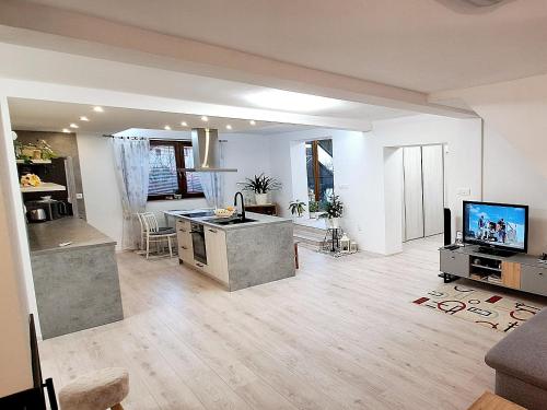 TV/Unterhaltungsangebot in der Unterkunft Apartmány Orava