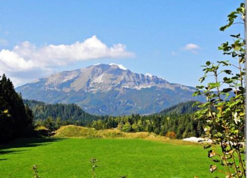 a large green field with a mountain in the background at Villa Fortuna Budget in Lackenhof
