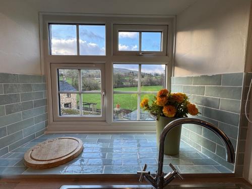 Wonderfully Scenic and Comfortable Dales Mill Property في West Burton: حمام مع نافذة ومغسلة مع إناء من الزهور