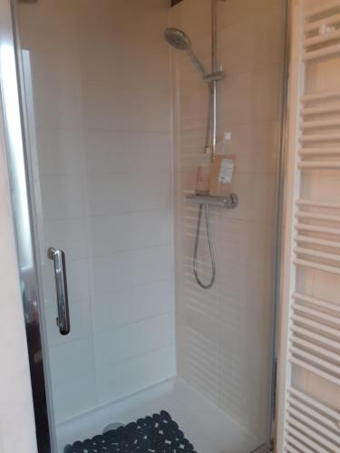 a shower with a shower head in a bathroom at Chambres Zola in Nantes