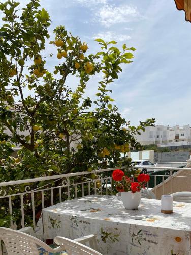 Holiday home with large roof terrace near La Mata beach