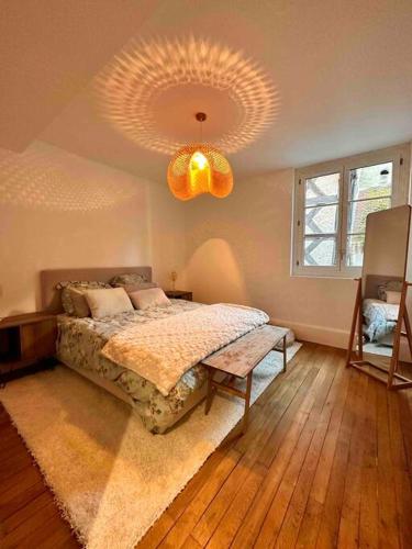 une chambre avec un lit et un lustre dans l'établissement Appartement de charme Les Orfèvres, à Moulins