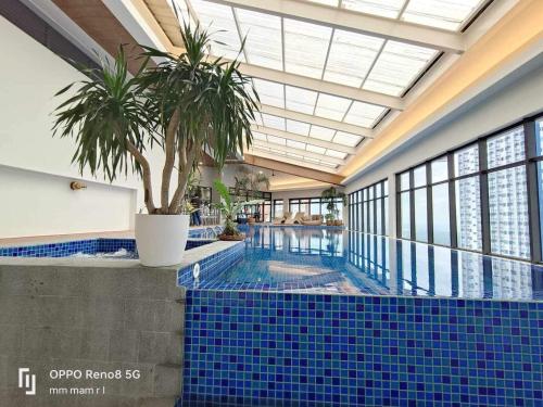 a swimming pool with a palm tree in a building at 19F One Katipunan Residence in Manila