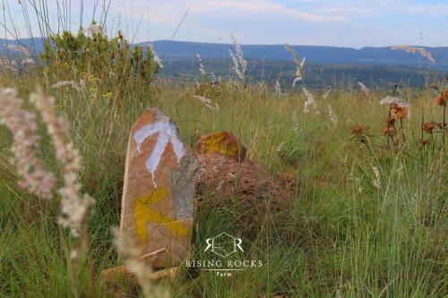 a rock in the middle of a field of grass at Tranquil Mountain Cottage :Hikes/Boma/Animals/Pool in Magaliesburg