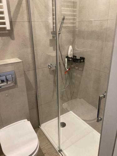 a shower stall with a toilet in a bathroom at Apartament Sowia Enklawa in Ludwikowice Kłodzkie