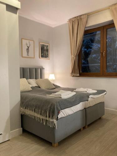 Bett in einem Schlafzimmer mit Fenster in der Unterkunft Apartament Sowia Enklawa in Ludwikowice Kłodzkie