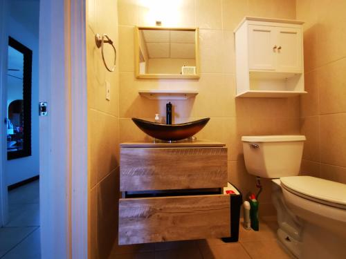 een badkamer met een wastafel en een toilet bij Apartment and Studio with privacy and wonderful view. in Dawn Beach