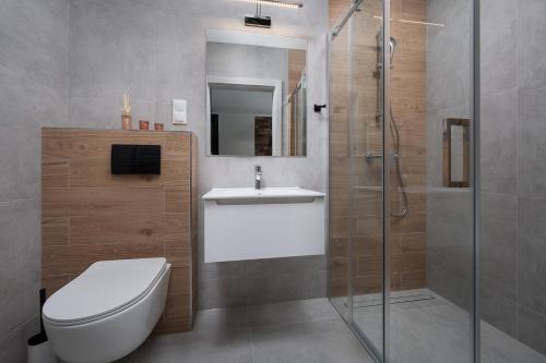 a bathroom with a toilet and a sink and a shower at Domki Kos Loft in Jastrzębia Góra