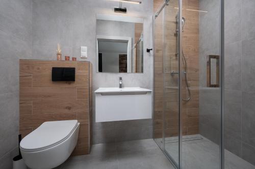 Un baño con inodoro, lavabo y ducha. en Domki Kos Loft, en Jastrzębia Góra