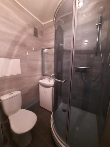 a bathroom with a shower and a toilet and a sink at Studio Apartment in Rēzekne