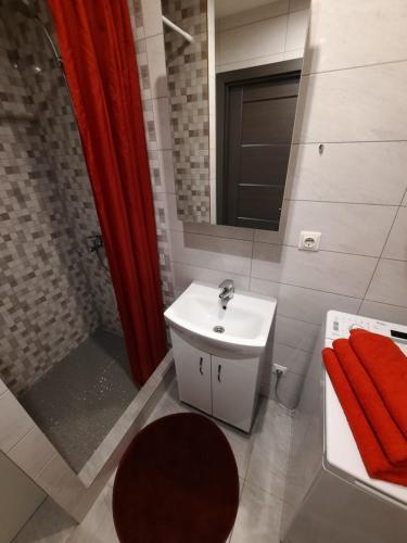 een badkamer met een wastafel, een toilet en een spiegel bij Roze Apartment in Rēzekne
