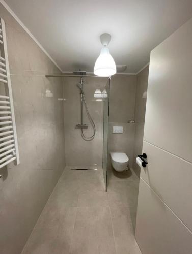 baño con ducha, aseo y luz en Fancy Big Apartment, en Gerasdorf bei Wien