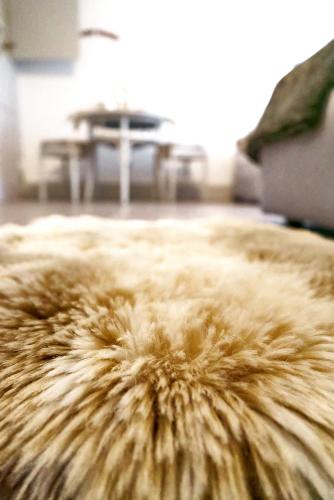 a close up of a furry rug in a living room at Double Room by Interlaken. Parking in Därligen