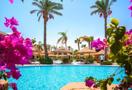 a pool at the excellence punta cana resort at Sierra Sharm El Sheikh in Sharm El Sheikh
