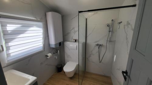 a bathroom with a toilet and a glass shower at Apartmány Filipovi in Nový Přerov