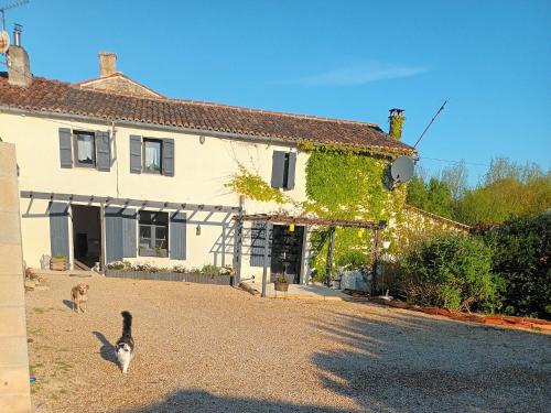 Eine Katze läuft vor einem Haus in der Unterkunft La Lavande in Nuaillé-sur-Boutonne