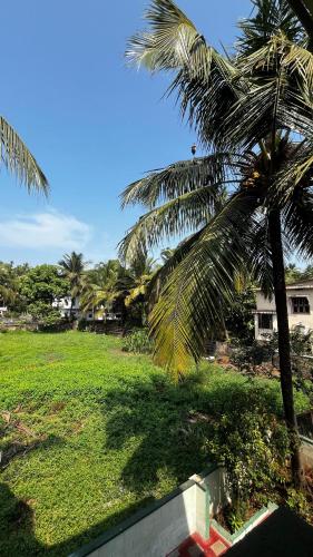 a view of a yard with palm trees at Sri sai home Stay in Udupi