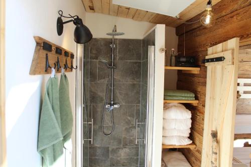 a bathroom with a shower with a glass shower stall at Ferienhaus Schau ins Land - eigene Panorama-Sauna in Schöfweg