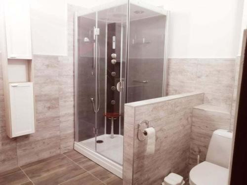 a shower with a glass door in a bathroom at Penzion u Trojice in Červená Voda