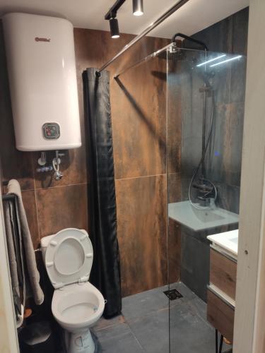 a bathroom with a shower and a toilet and a sink at The nest in Dušanovac (historical)