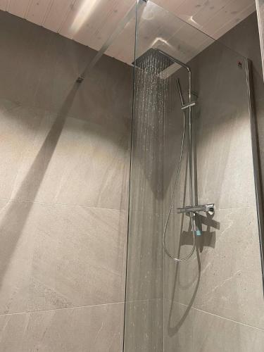 a shower in a bathroom with a glass door at Waterfront apartment with panoramic sea view in Henningsvær