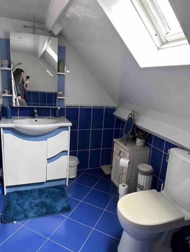 une salle de bain bleue avec des toilettes et un lavabo dans l'établissement *Bellevue* Demeure vue Cher et Château, à Seigy
