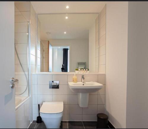 a bathroom with a sink and a toilet and a mirror at Water view harbour in Glasgow