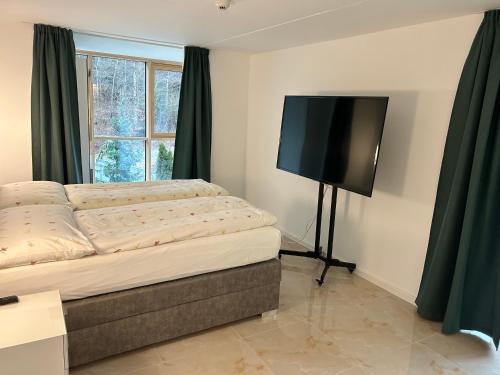 a bedroom with a bed and a flat screen tv at Crystal Vista in Zweisimmen