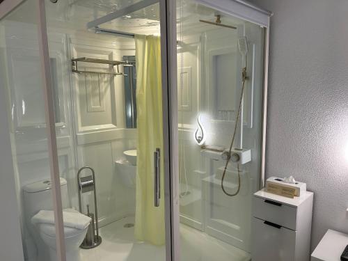 uma casa de banho com um chuveiro e um WC com uma porta de vidro em Crystal Vista em Zweisimmen