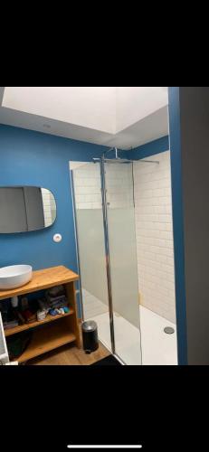 uma casa de banho com um chuveiro e uma porta de vidro em Chez Valentin em Lille