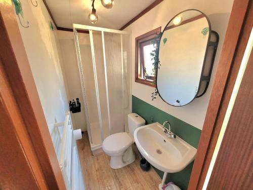 een badkamer met een wastafel, een toilet en een spiegel bij Kom tot rust in chalet Het Edelhert! in Putten