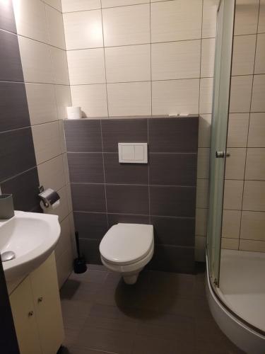 y baño con aseo, lavabo y ducha. en Gangnam Hotel en Ciągowice