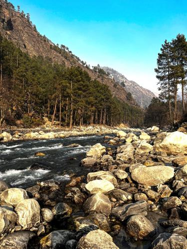 a river with rocks and trees on a mountain at Hotel Mid Orchard Kasol l River Side -Pure Veg Hotel in Kasol