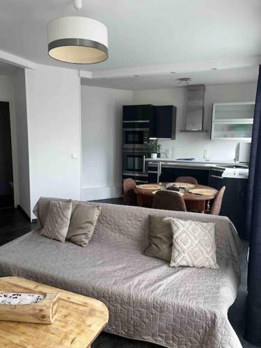 un salon avec un canapé et une cuisine dans l'établissement Appartement Cosy Goussainville - Aéroport CDG, Parc des expositions Villepinte, Astérix, Mer des sables, Aéroville, O Parinor, à Goussainville