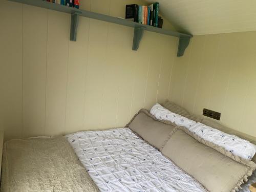 a bed in a room with shelves on the wall at Burren Garden Glamping Hut in Boston
