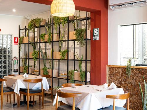 塔拉拉的住宿－Rua Hoteles Talara，餐厅墙上挂着桌椅和植物