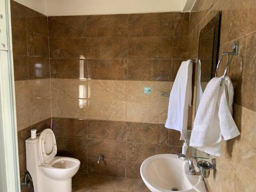 La salle de bains est pourvue de toilettes et d'un lavabo. dans l'établissement Indrayanifarms, à Sundarijal