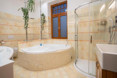 a bathroom with a tub and a shower and a sink at Executive 2-Bdrm central suite in Ústí nad Labem