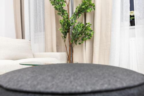 Imagem da galeria de OrestaLiving - Danube Canal View em Viena