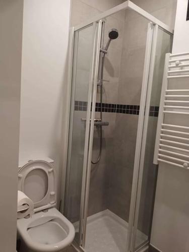 une salle de bain avec douche et toilettes dans l'établissement Appartement - Paris 20, à Paris