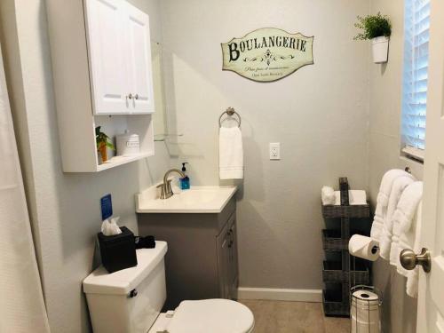 a bathroom with a white toilet and a sink at Downtown Dunedin! 2 bedroom 2 bath NO KIDS, NO PETS in Dunedin