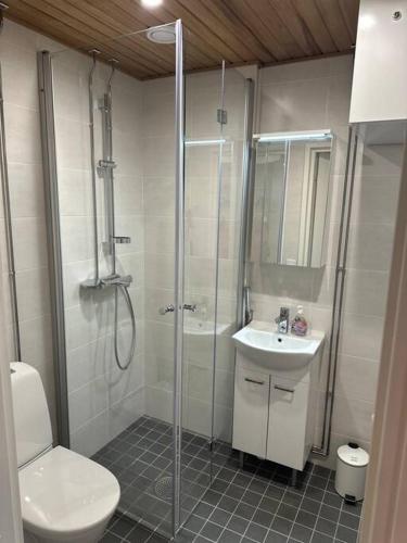 a bathroom with a shower and a toilet and a sink at Tyylikäs studio rauhallisella sijainnilla in Rovaniemi
