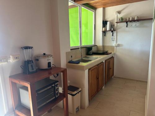 Jungle Green Studio – Photos 3