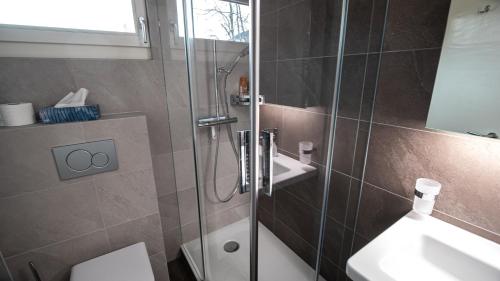 ein Bad mit einer Dusche und einem Waschbecken in der Unterkunft Singlinaz in Vissoie