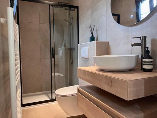 een badkamer met een wastafel, een toilet en een douche bij Taiga tiny house in Nunspeet