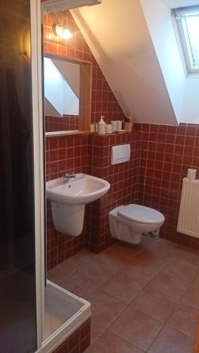 Ένα μπάνιο στο Tourist apartment Vysočina BIKE plus FUN