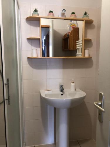 een badkamer met een wastafel en een spiegel bij Le Chamois 2 in Laye